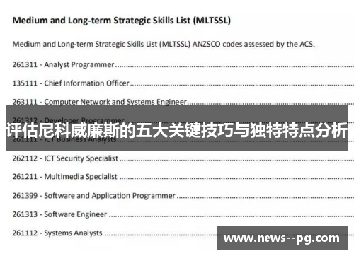 评估尼科威廉斯的五大关键技巧与独特特点分析