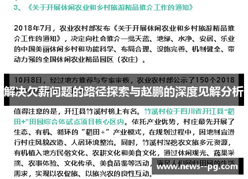 解决欠薪问题的路径探索与赵鹏的深度见解分析